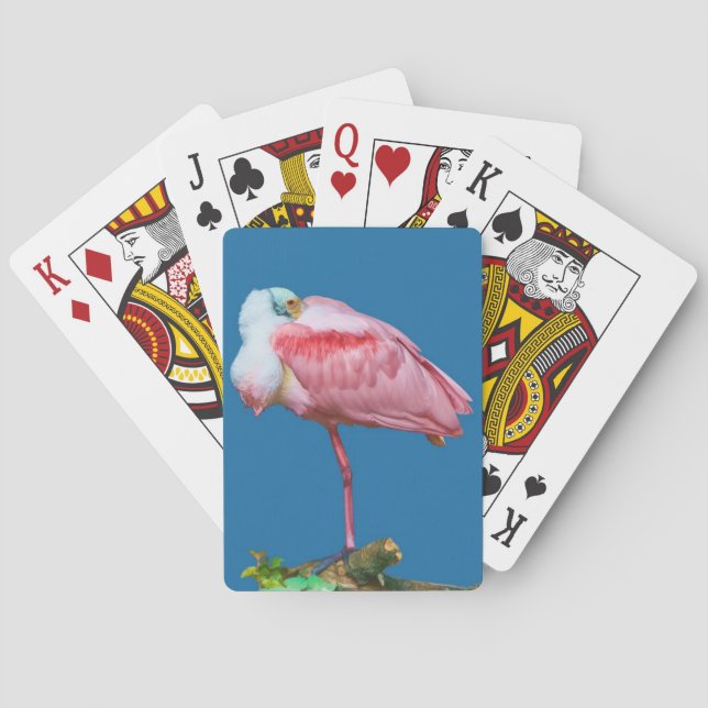 Cartas para jugar a pájaros roseate Spoonbill (Reverso)