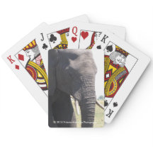 Cartas para jugar al elefante