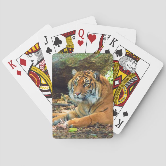 Cartas para jugar al tigre siberiano (Reverso)