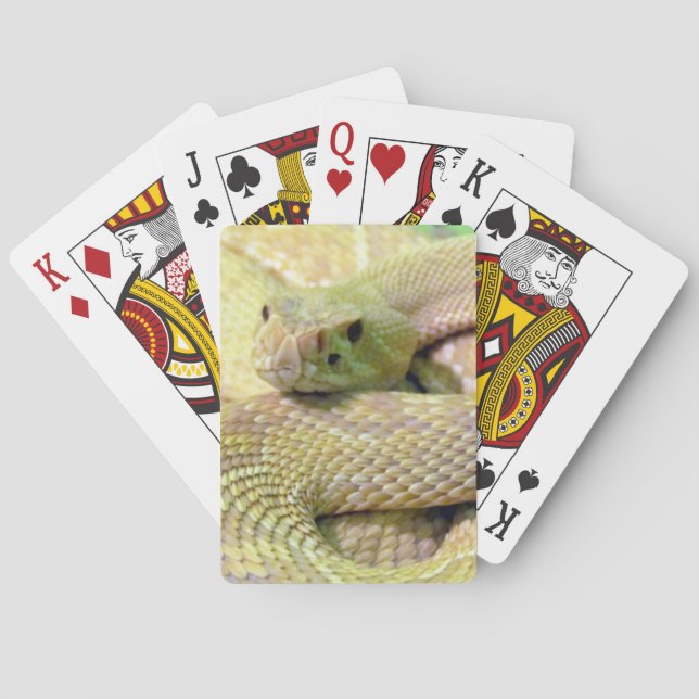 Cartas para jugar en bicicleta de Albino Rattlesna (Reverso)