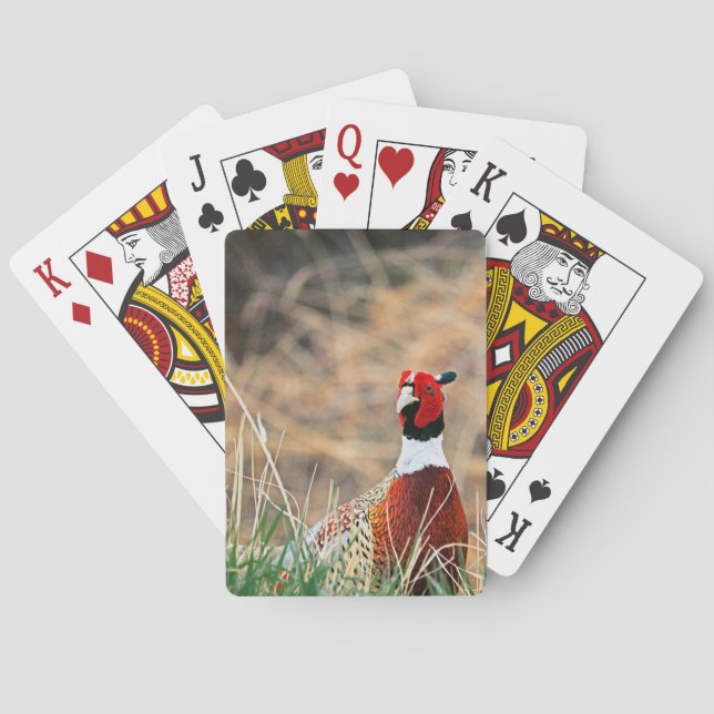 Cartas para jugar en bicicleta de faisán de cuello (Reverso)