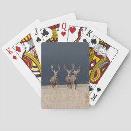 Cartas para jugar en bicicleta de Mule Deer Bucks