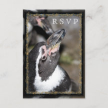 Cartas RSVP de Boda en Zoológico de Fotografía Pin