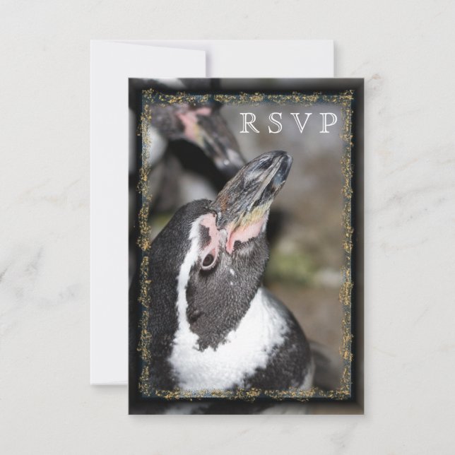 Cartas RSVP de Boda en Zoológico de Fotografía Pin (Anverso)