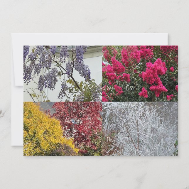 Carte simple Les Quatre Saisons (Anverso)