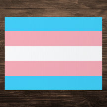 Bandera del Orgullo Transgénero