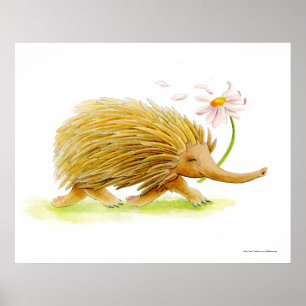 Cartel de arte caprichoso acuarela de equidna