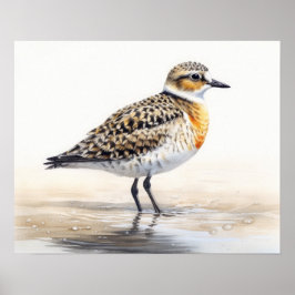 Cartel de Arte de Impresión de Ave Plover Dorado
