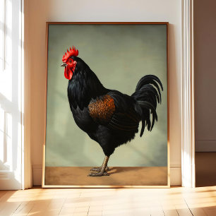 Cartel de arte de pollo Australorp, ave vintage