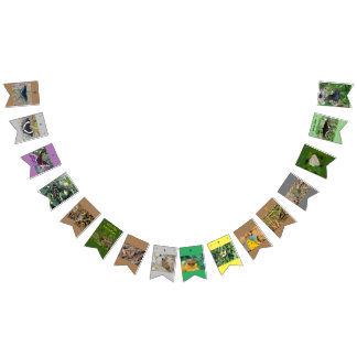 Cartel de cumpleaños de Save the Butterflies