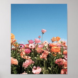 Cartel de impresión de campo de flores coloridas