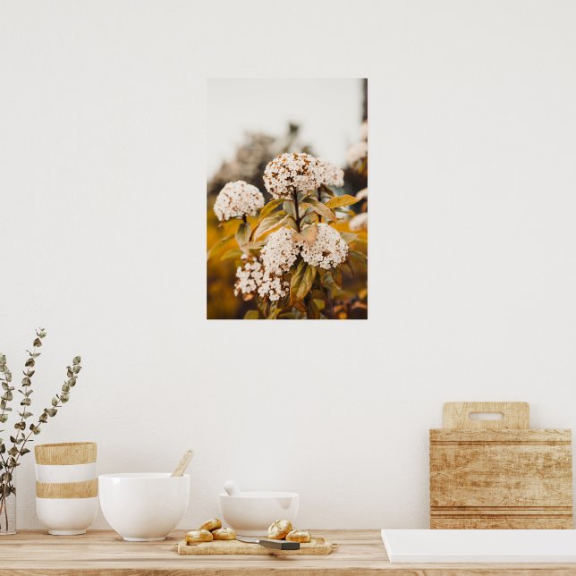 Cartel de impresión de flores de Viburnum Blanco e (Cocina)