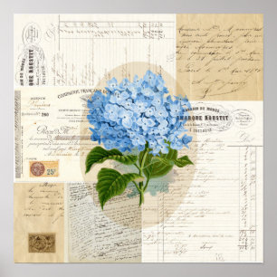 Cartel de impresión de vintage Blue Hydrangea Fren