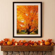 Cartel de impresión fotográfica del árbol de arce 