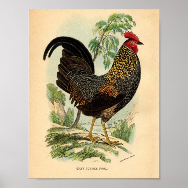 Cartel de impresión victoriano de la vieja granja (Frente)