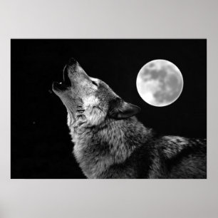 Cartel de la impresión del lobo gris y la luna