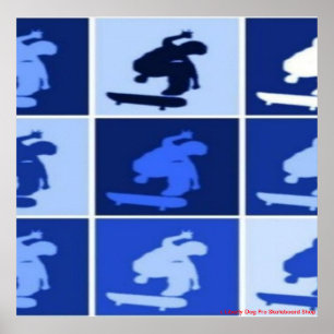 CARTEL DE PÓSTER DE PATINAJE PRO SKATEBOARDING DEL