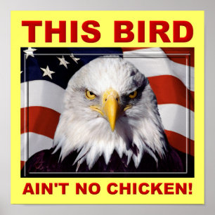Cartel de señal de póster de American Eagle Ain't