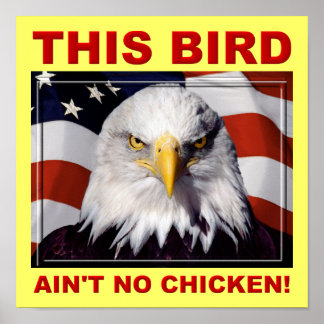Cartel de señal de póster de American Eagle Ain't 