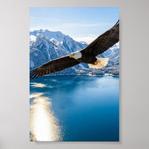 Cartel Mate Póster Águila Calva Volando Sobre Lago