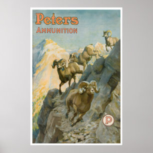 Cartel occidental de arte de caza de ovejas de cue