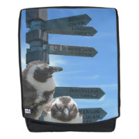 Cartel sudafricano + mochila para adultos pingüino