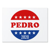 Votación por Pedro 2020