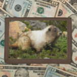 Cartera De 3 Hojas Foto de Hoary Marmot Wildlife<br><div class="desc">¡Para los amantes de la naturaleza! Asegure dinero y tarjetas de crédito con esta cartera que muestra la imagen de una Marmota de Hoary. Seleccione el color de la cartera.</div>