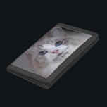 Cartera De 3 Hojas Foto Mascota personalizada Mejor gato de Ragdoll<br><div class="desc">Este diseño presenta una hermosa foto de un gato de Ragdoll de ojos azules y una tipografía negra. Puedes reemplazar la foto con una imagen de tu propio gato o gatito. El texto de ejemplo - Mejor Ragdoll jamás - se puede editar en palabras de su elección y también se...</div>