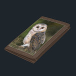 Cartera De 3 Hojas Moneda de la Triplicidad de Lechuza Barn Occidenta<br><div class="desc">Montañas triplias de búho de grano occidental - Pintura MIGNED</div>