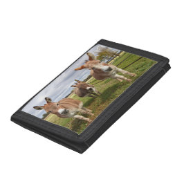 Cartera De 3 Hojas Tres burros