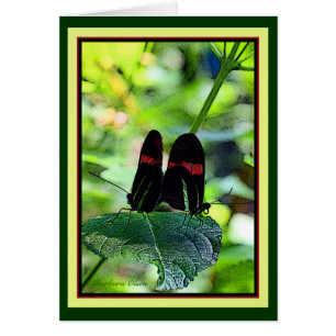 Cartero rojo: mariposa