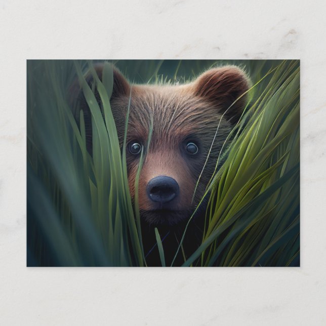 Cartes Postales bear herbe (Anverso)