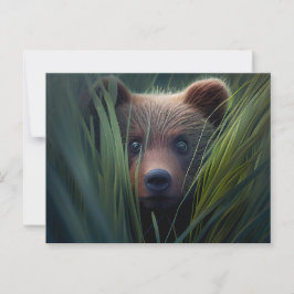 Cartes Postales bear herbe