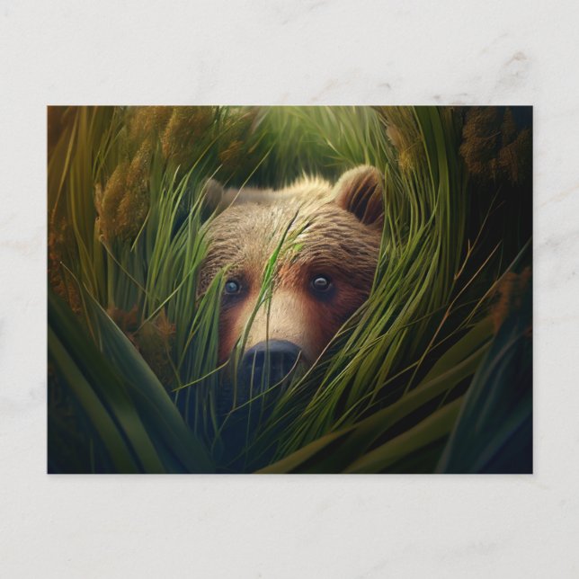 Cartes Postales bear herbe (Anverso)