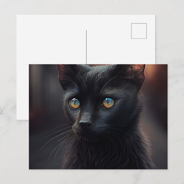 Cartes Postales Black Cat (Anverso / Reverso)