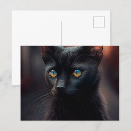 Cartes Postales Black Cat