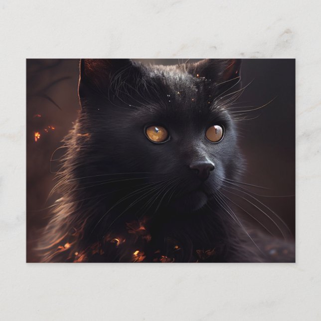 Cartes Postales Black Cat (Anverso)