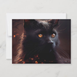 Cartes Postales Black Cat