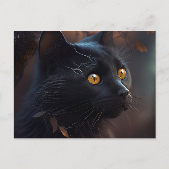 Cartes Postales Black Cat (Anverso)