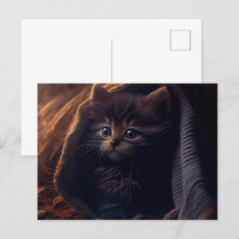 Cartes Postales Black Cat