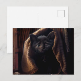 Cartes Postales Black Cat