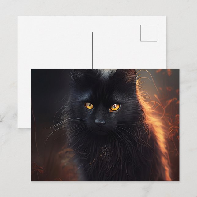 Cartes Postales Black Cat (Anverso / Reverso)
