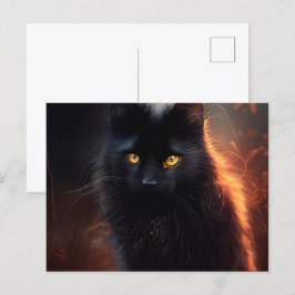 Cartes Postales Black Cat