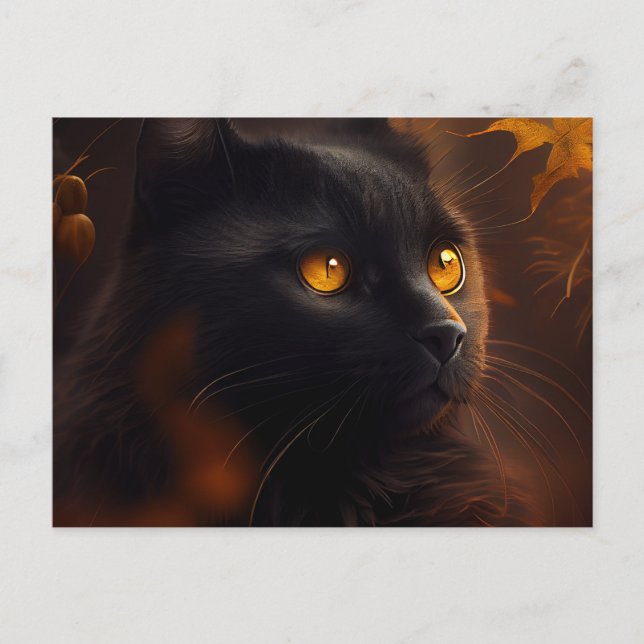 Cartes Postales Black Cat (Anverso)