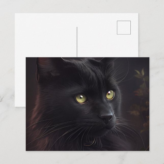 Cartes Postales Black Cat (Anverso / Reverso)