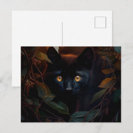 Cartes Postales Black Cat