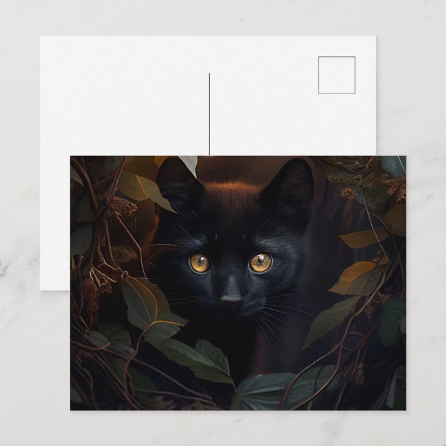 Cartes Postales Black Cat (Anverso / Reverso)