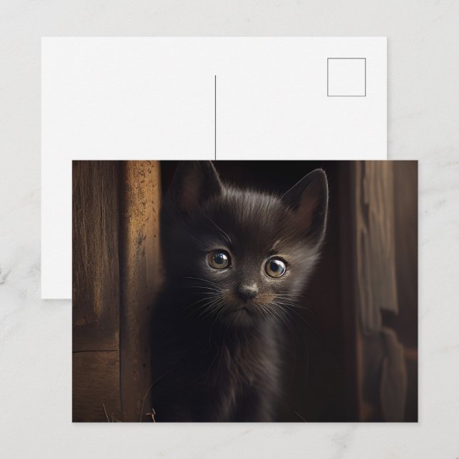 Cartes Postales Black Cat (Anverso / Reverso)