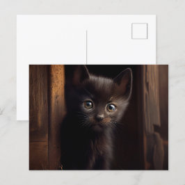 Cartes Postales Black Cat
